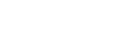 lion foundation